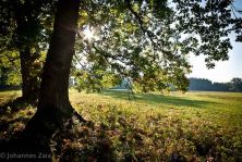wildpark josefslust.jpg